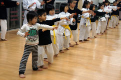 Nippon Kempo Imabari Kenyukai