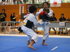 日本拳法愛媛県選手権大会《個人戦・団体戦》