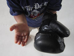 日本拳法グローブ　Gloves for Kempo